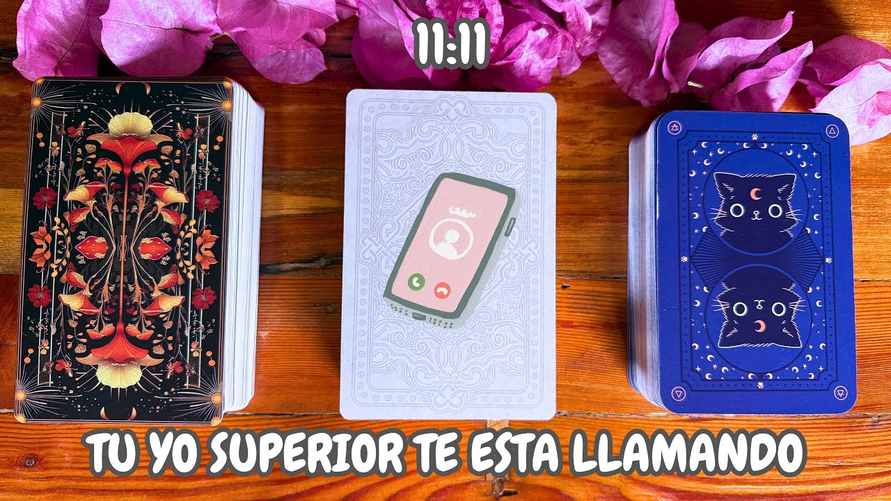 CONTESTA EL TELEFONO 