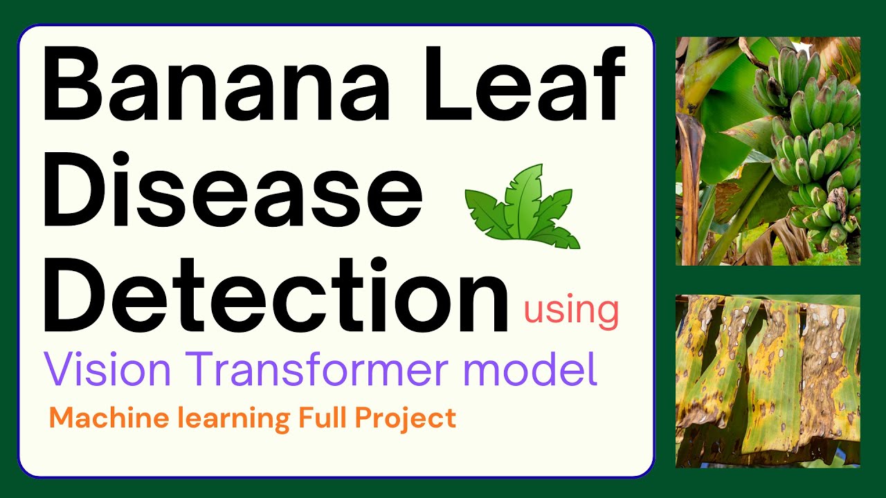 Banana Leaf Disease Detection using Vision Transformer model | Deep Learning Project
