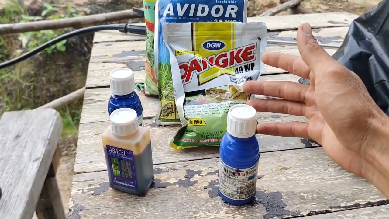 insektisida yang bagus untuk mengendalikan hama ulat pada tanaman buncis.