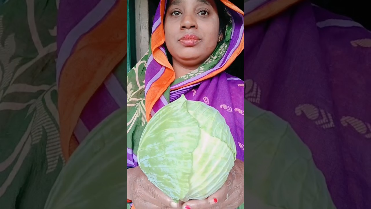 Cabbage roll snacks 🤤#food #feed #shortsfeed #youtubeshorts #shorts #keerti #amagankitchen