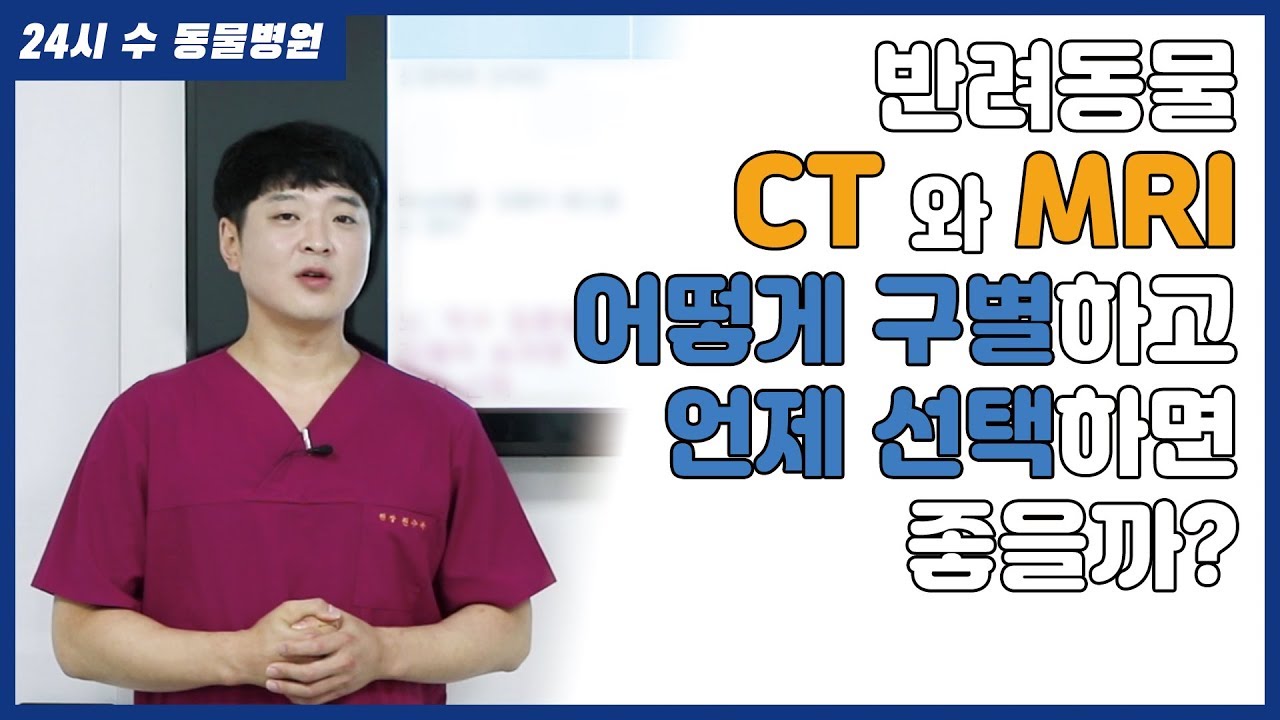 반려동물 CT와  MRI 어떻게 구별하고 언제 선택하면 좋을까? [24시수동물병원]