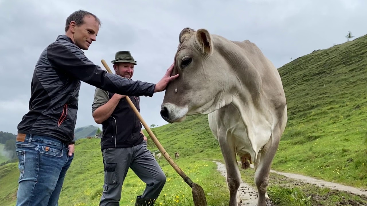 Qualität aus Tradition: Appenzeller Milch AG