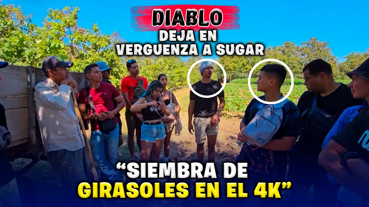 Sugar se enojó con Miguel por haberlo dejado en vergüenza | Hay un nuevo proyecto para la sede 4K