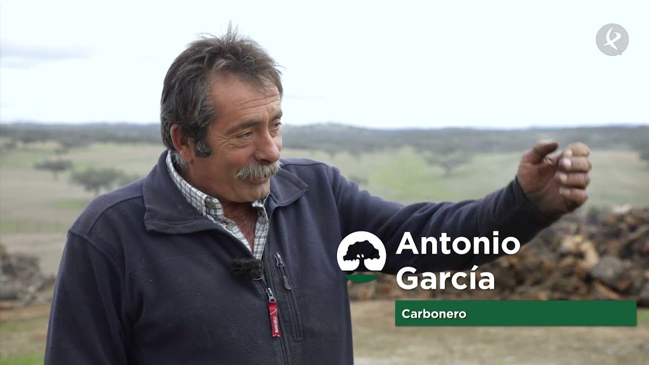 Con leña de encina y sin humedad, las claves en la elaboración del carbón | La Besana en Verde