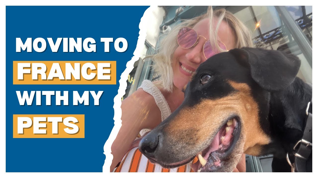 How To Move Your Dog To France