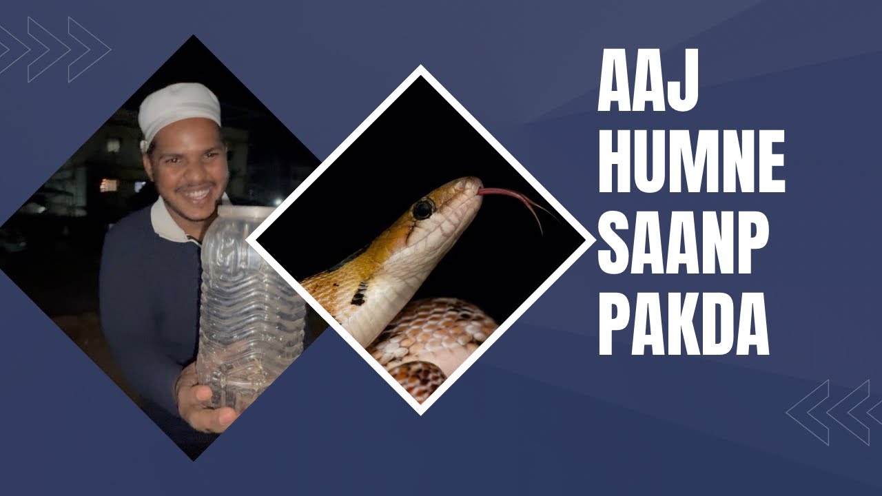Aaj humne saanp 🐍 ko pakda👀 |IRFAN SHAH VLOGS