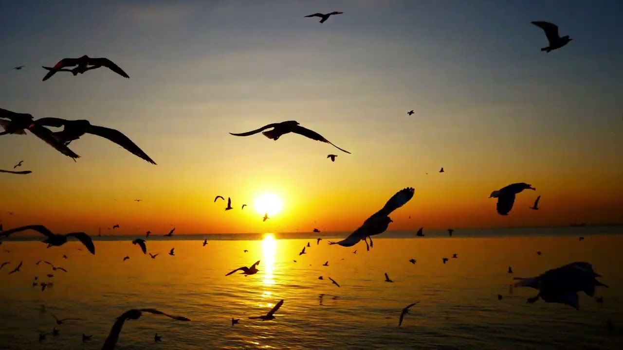 Golden Sunset Serenity 🌅 Calm Music with Piano, Flute, Violin, Guitar & Nature Sounds