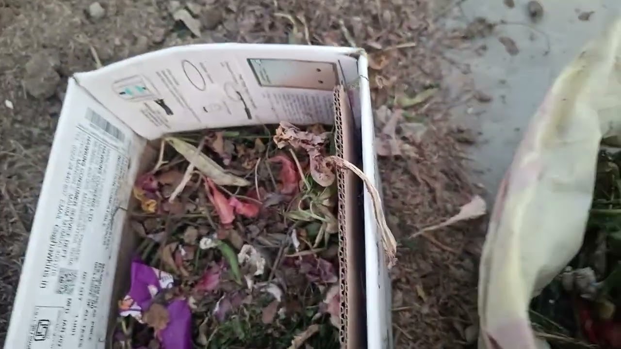 Let's Learn Organic Soil & Well drained soil Mixed Makeing Idea|