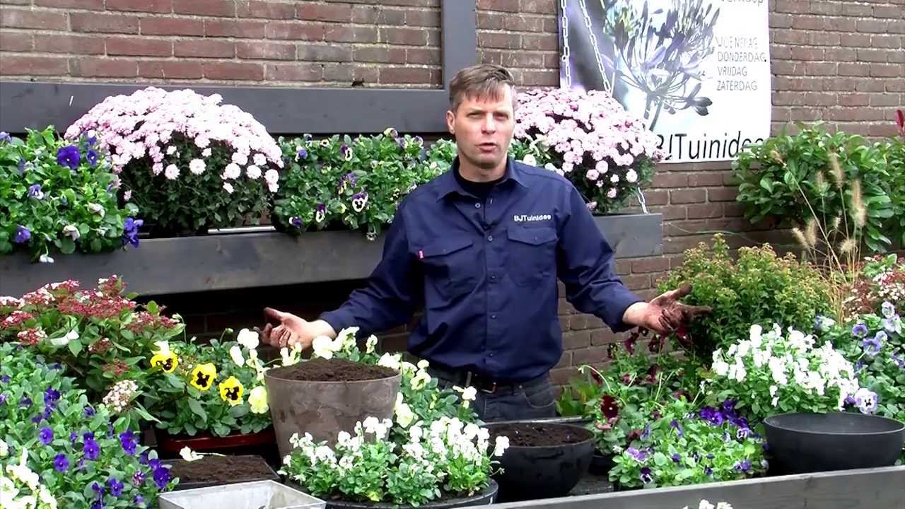 RTV Tuinidee aflevering violen