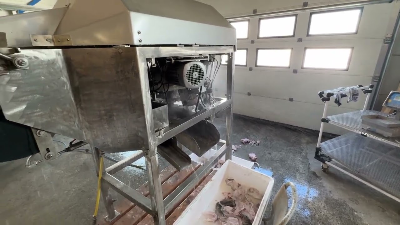 Mesa 900 - Fish heading machine