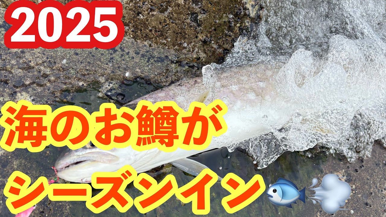 海のお鱒がシーズンイン【2025年】