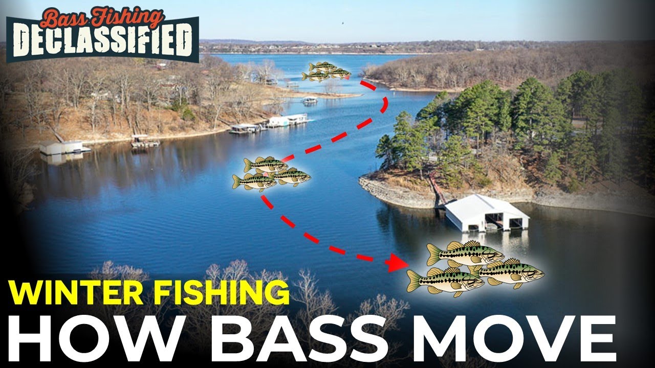 Stay Ahead of Winter Bass With This Simple Approach!
