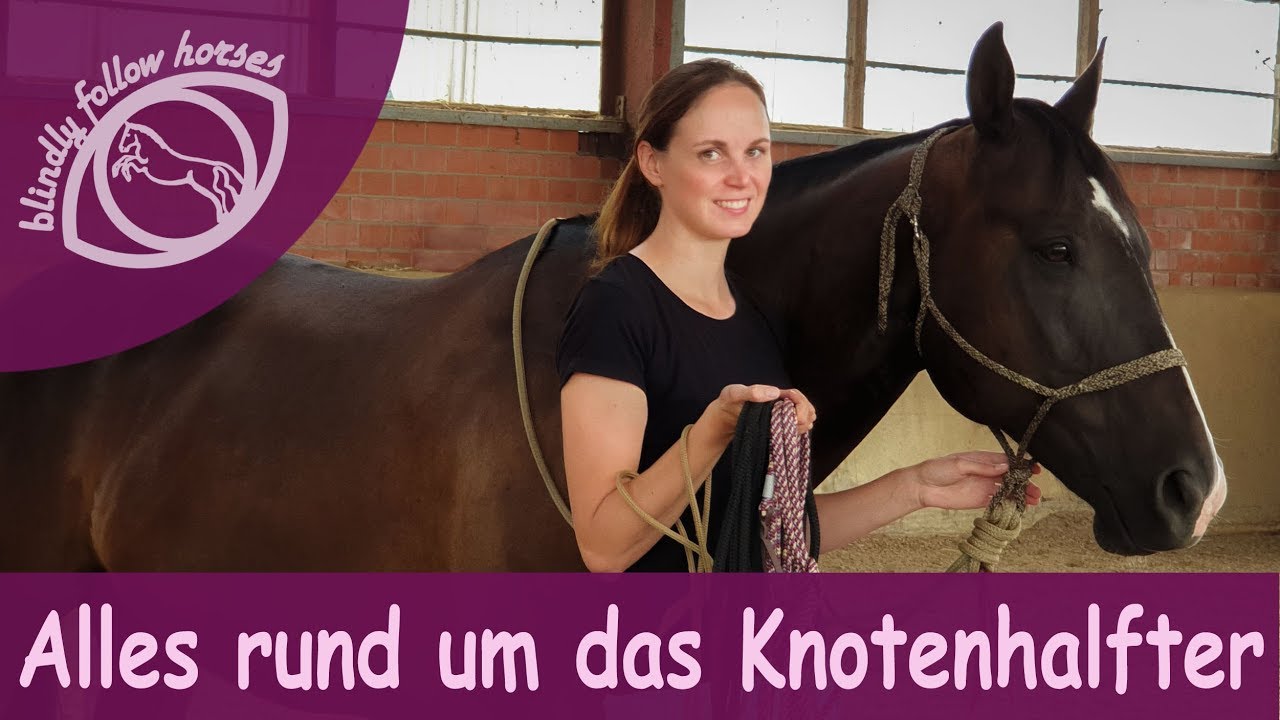 Alles rund um das Knotenhalfter ! Verschiedene Knoten und aus dem Führseil Zügel machen !