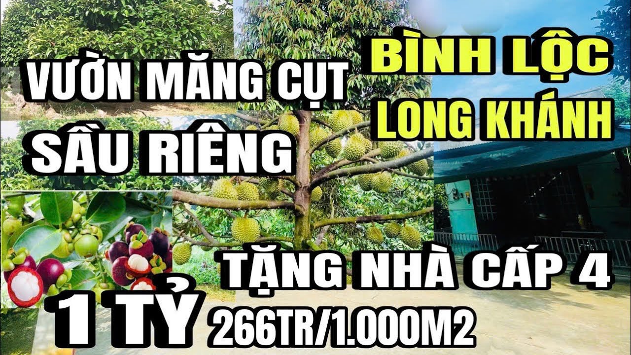 Anh nhỏ bán gấp, vườn măng cụt, sầu riêng, nhà cấp 4, tại bình lộc long khánh