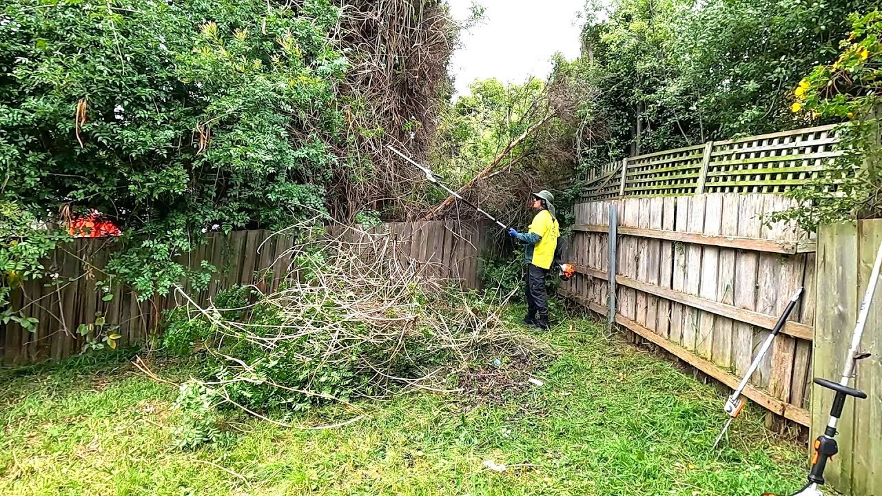 I got the BIG GUNS out on this OVERGROWN yard CLEANUP!