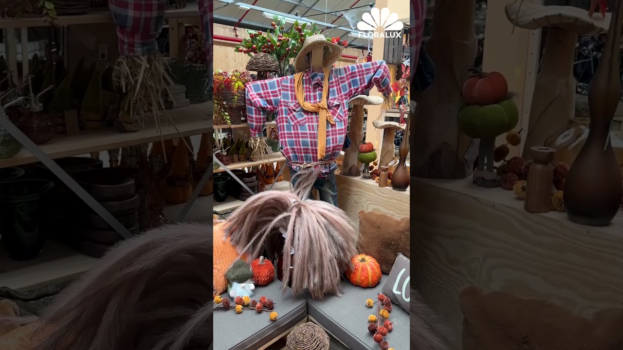 🍂 De herfst is aangekomen in onze winkel! #herfstvlog