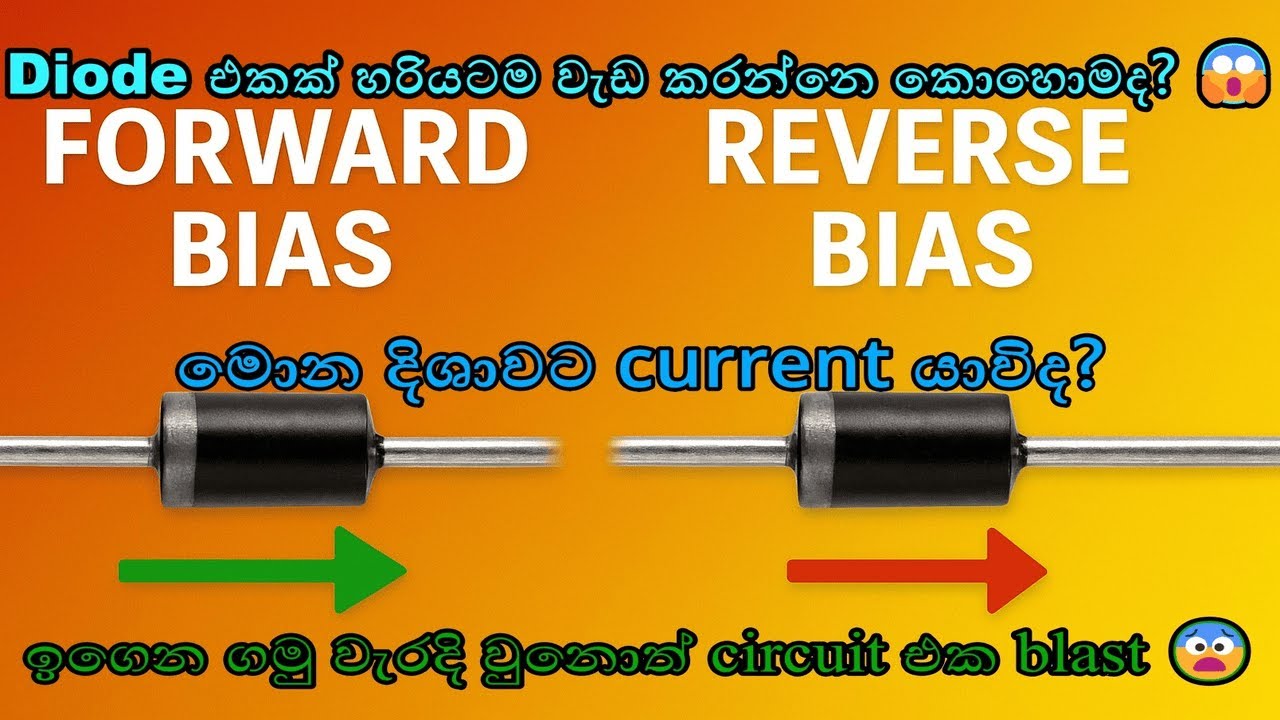 Forward Bias vs Reverse Bias  | Diode එකෙන් Current ගලා යනවද? | Sinhala Electronics | Diode Tutorial