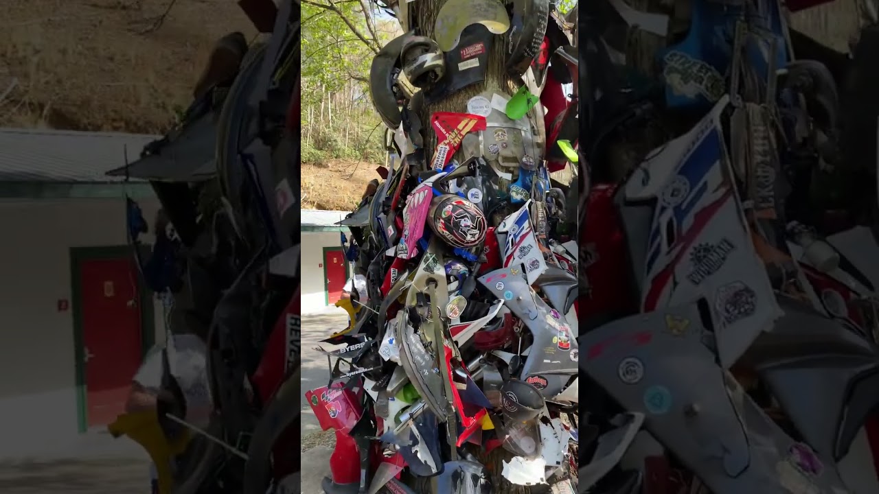 How dangerous is the Tail of the Dragon? Deals Gap Tree of shame.