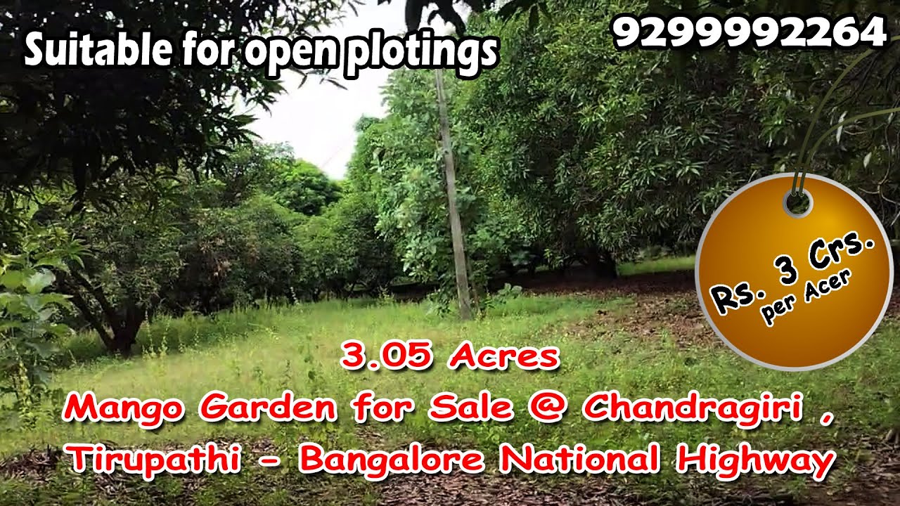 3.05 Acres Mango Garden for Sale @ Chandragiri , Tirupathi - Bangalore