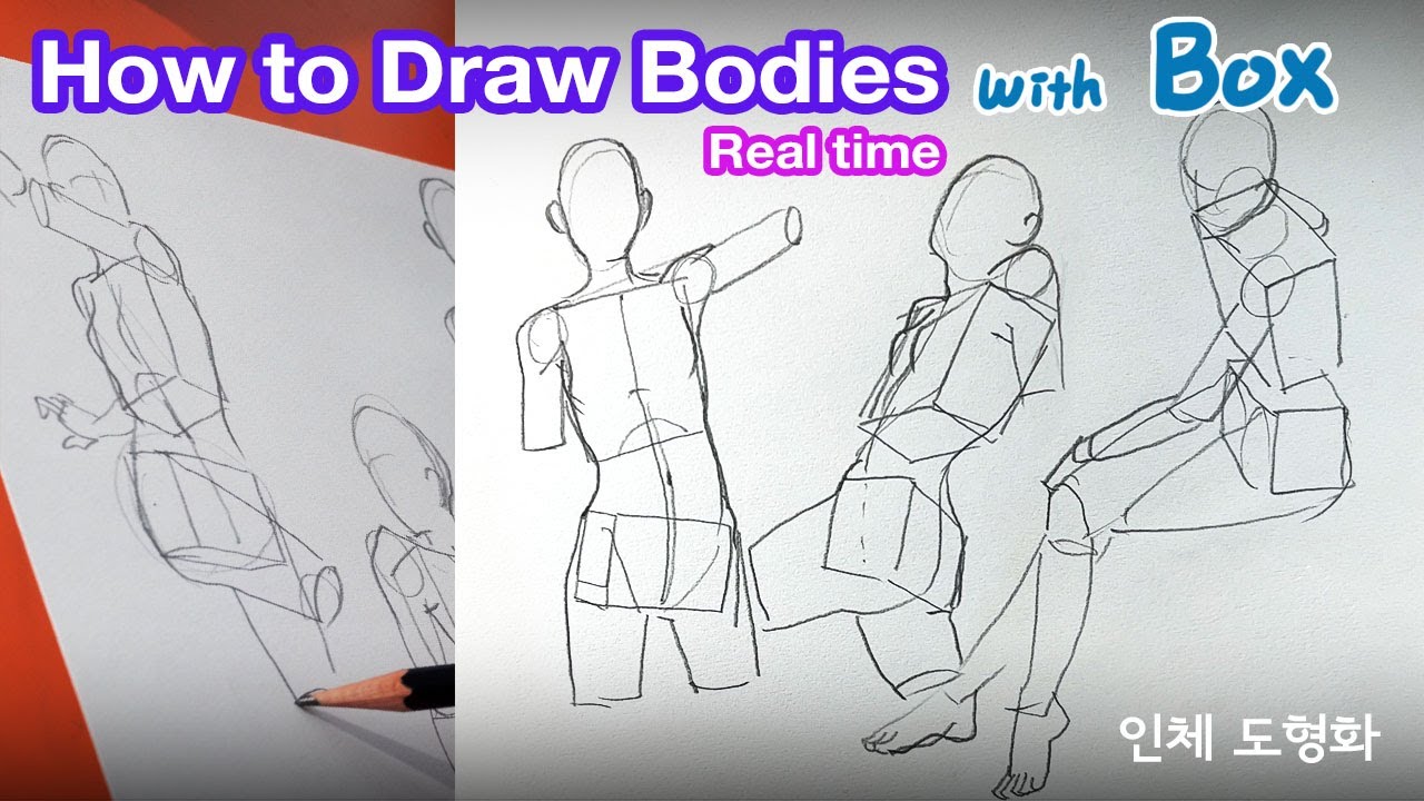 How to draw bodies with boxes (+Simplify Anatomy)