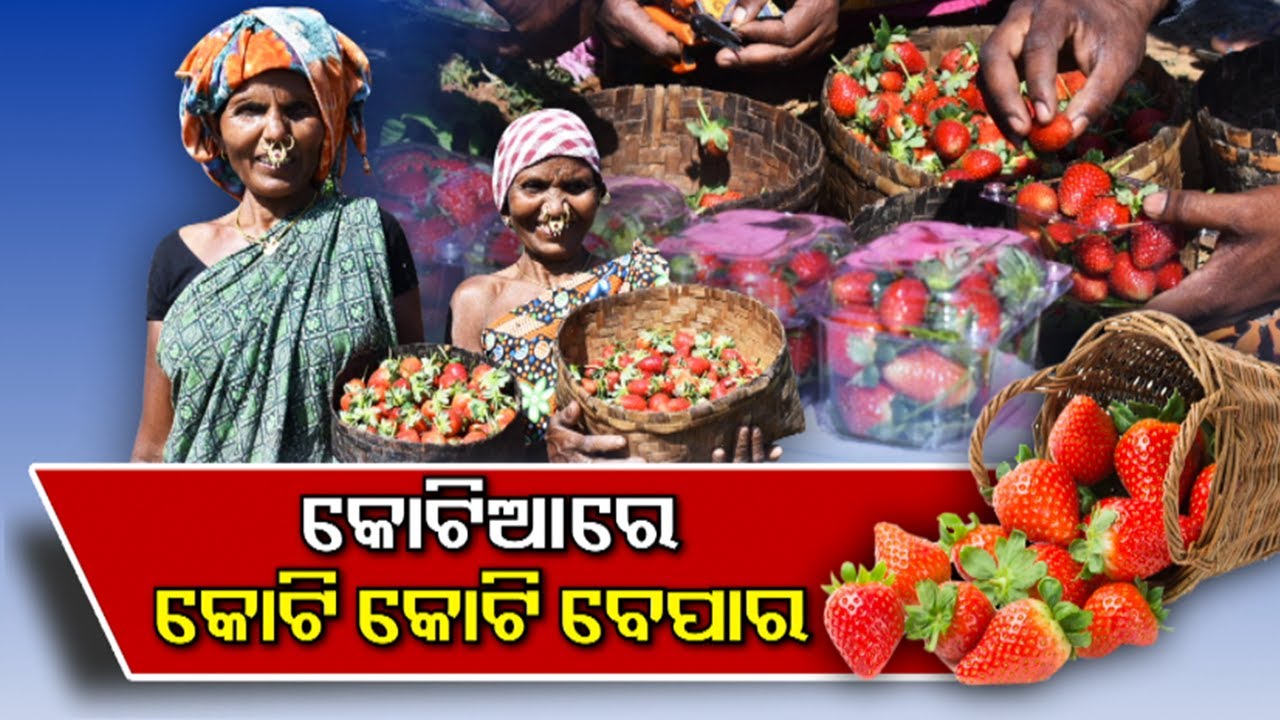 Visit To Koraput District's 