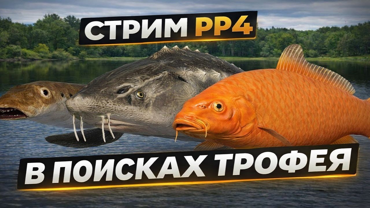 РУССКАЯ РЫБАЛКА 4 Стрим поиски трофея. РР4 стрим