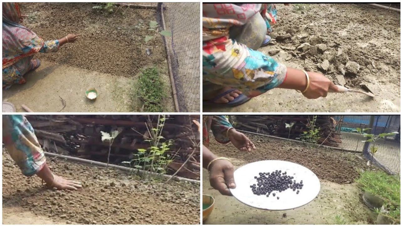 ☘️আমরা মধ্যবিত্ত মানুষ যারা উঠানে সবজি বুনে খরচ কমাতে পারি। @faridakitchenwithvlog#foryou. 