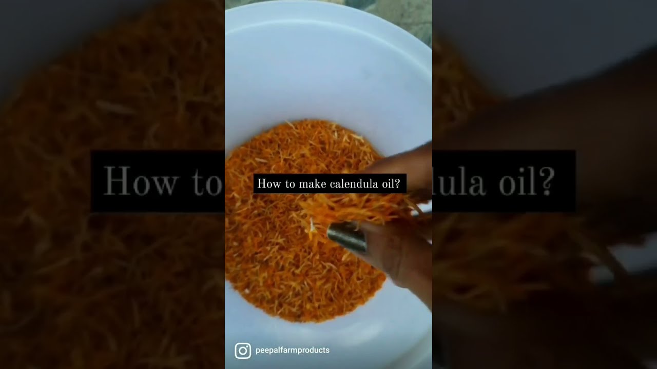 How to make Calendula oil? | Homemade Calendula oil #shorts