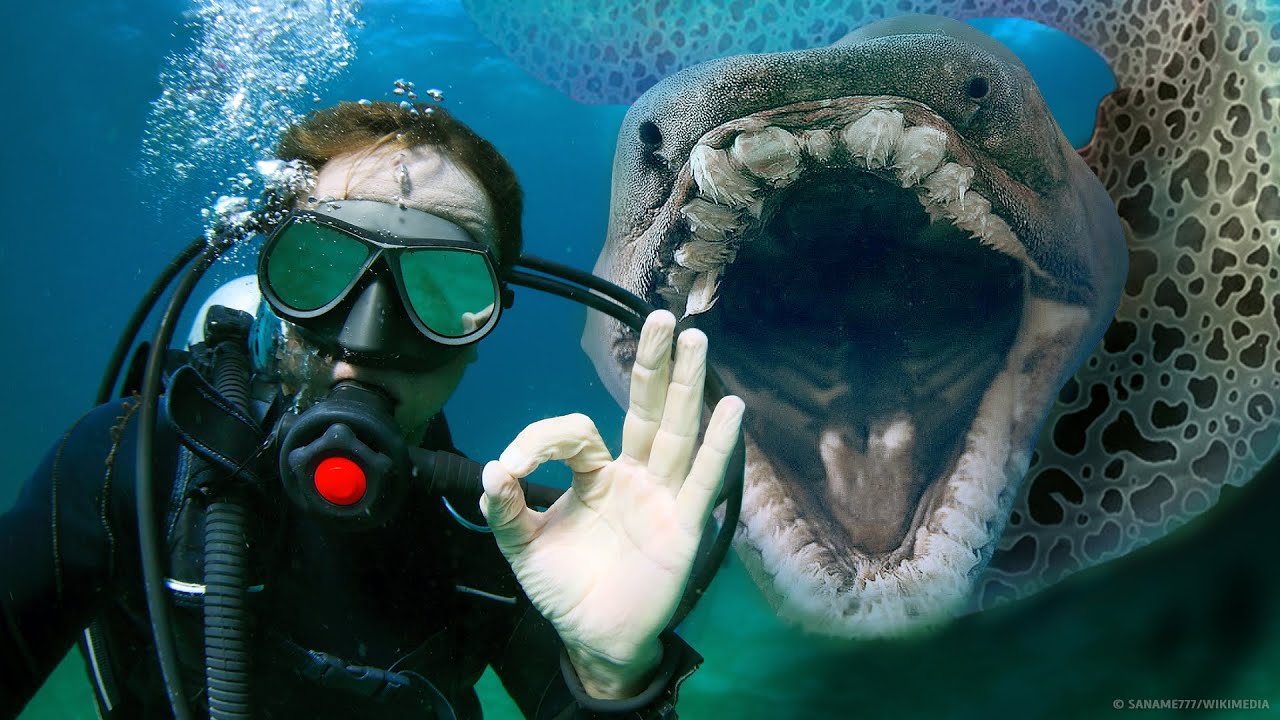 メガロドンよりも恐ろしい深海魚18選！