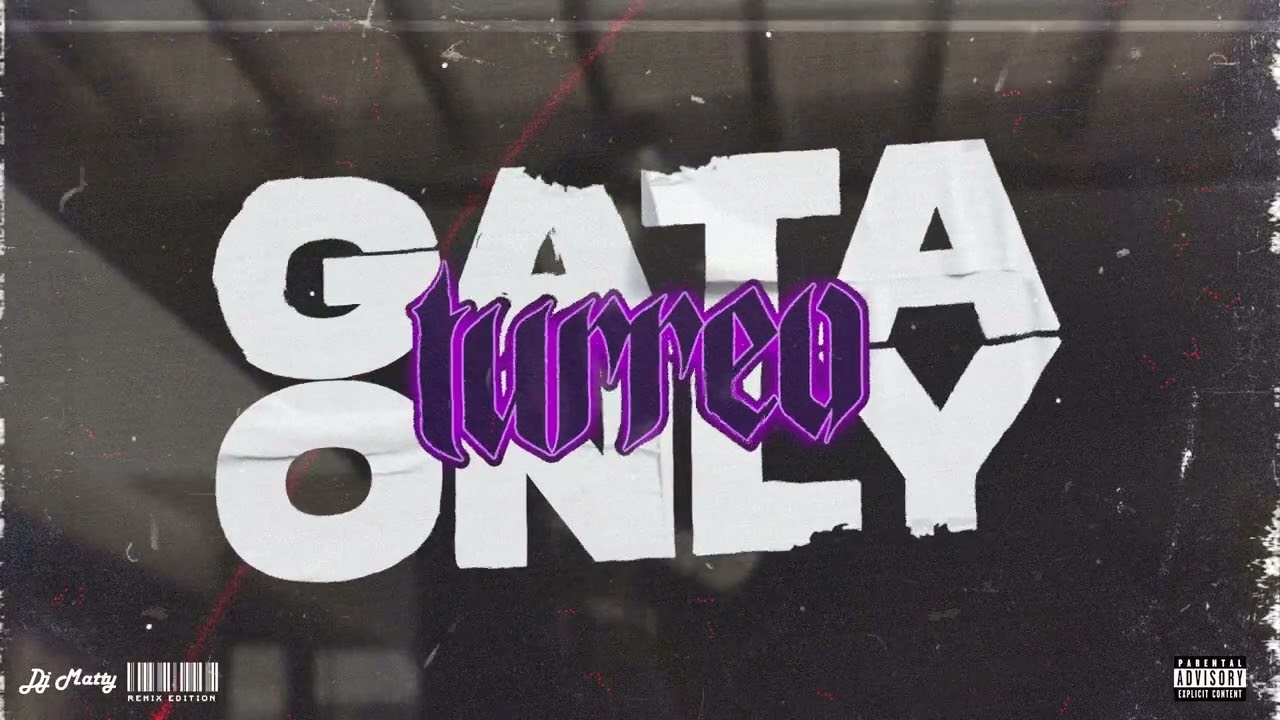 GATA ONLY (Remix) - DJ Matty, Cris MJ, FloyyMenor
