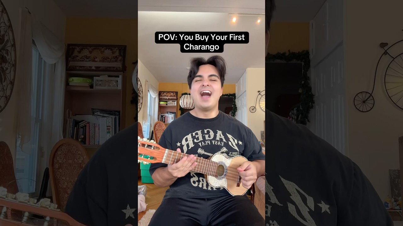POV: Вы покупаете свой первый Charango