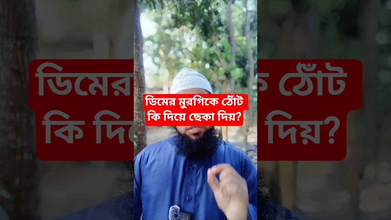 ডিমের মুরগিকে কিভাবে ঠোঁট ছেকা দিতে হয়? | How to do beak trimming in layer chickens | 