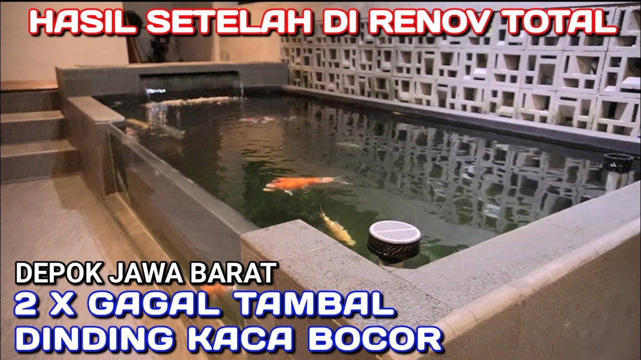 KOLAM IKAN KOI 2M X 5M | DEPOK JAWA BARAT