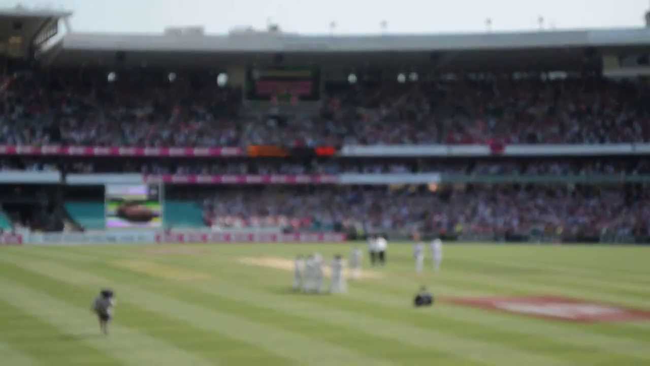 The Ashes: Australia whitewash England