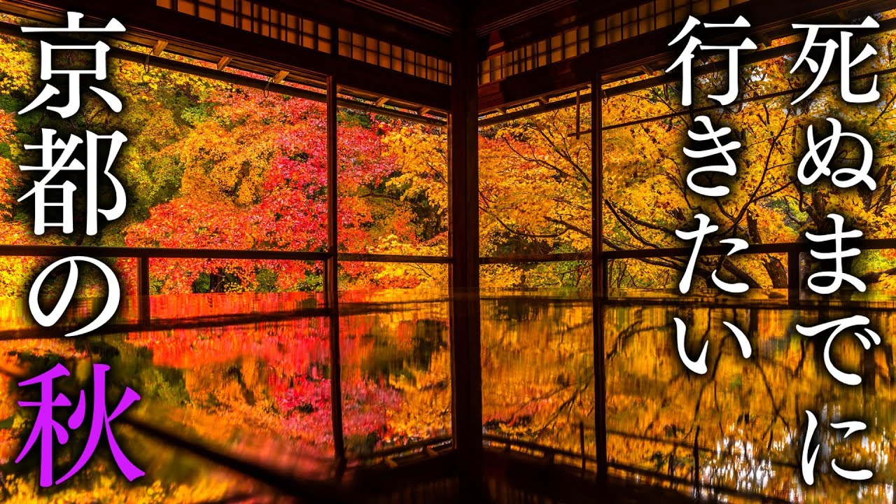 【左京区編】秋に行きたい京都の紅葉絶景30選 - JAPAN in 4K