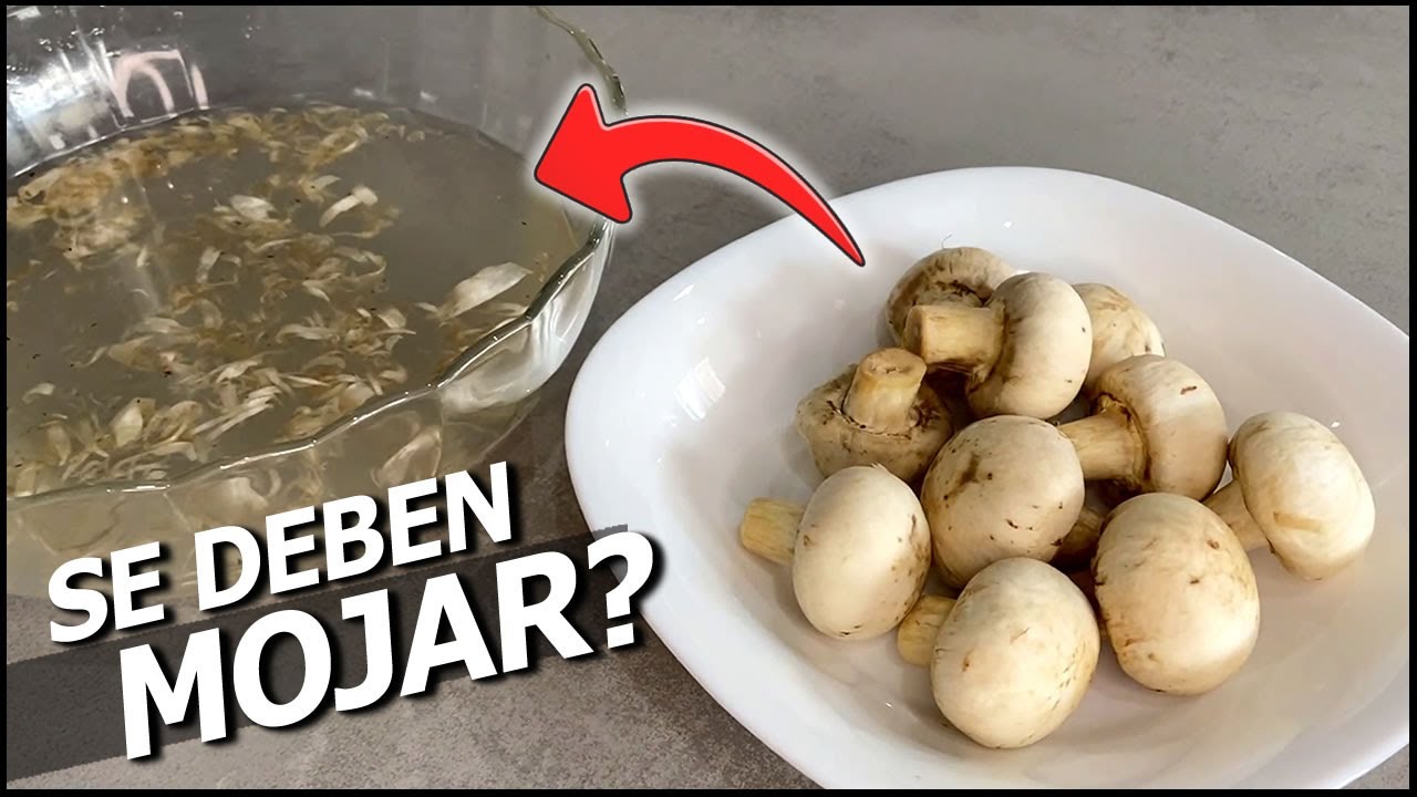 Como LIMPIAR CHAMPI&Ntilde;ONES
