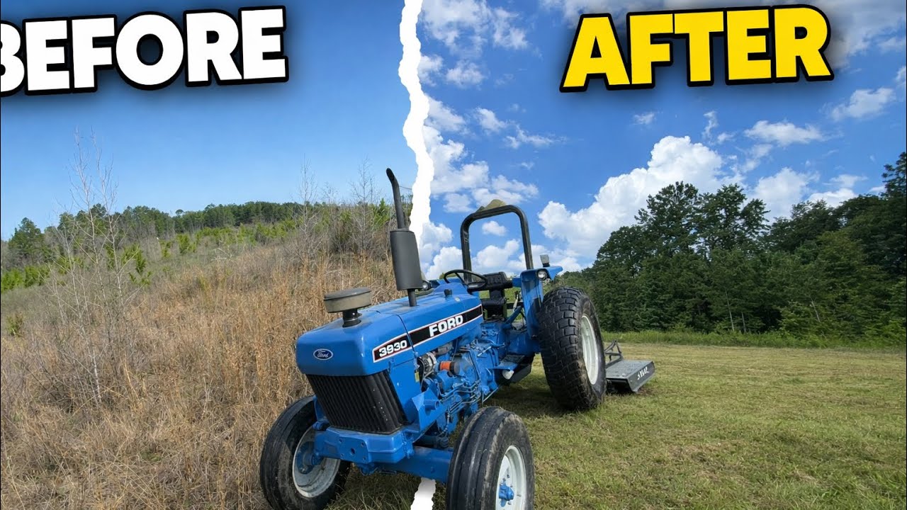 Putting My 40-Year-Old Tractor to WORK! | Food Plot Chores & Heavy Brush Bush Hogging