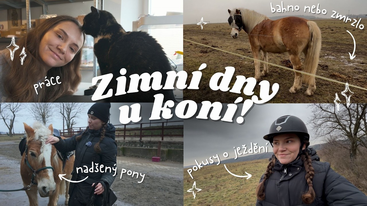 Dá se v Česku uživit koňským influencerstvím? | VLOG
