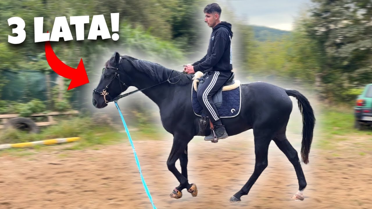 REAKCJA NOWEGO KONIA NA JEGO PIERWSZĄ JAZDĘ POD JEŹDŹCEM U NAS!
