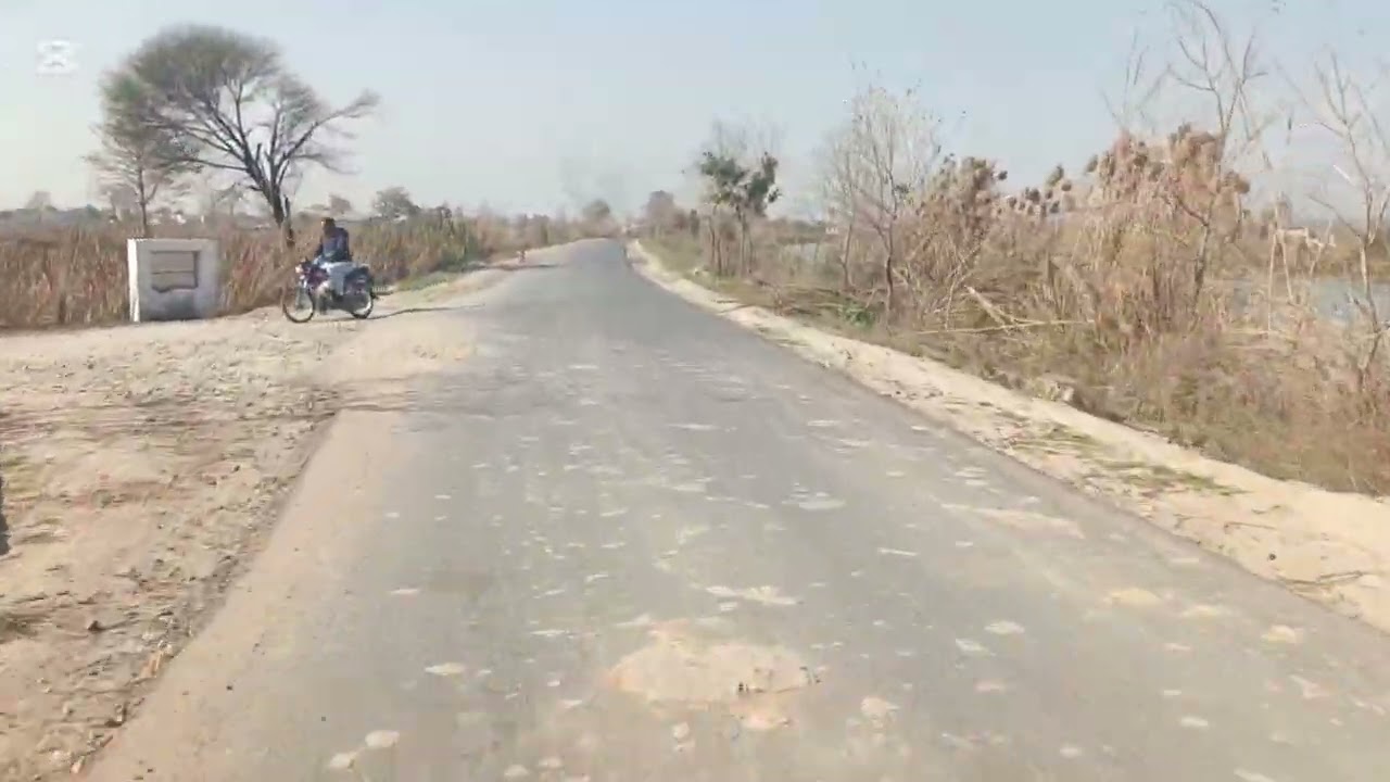 Viral Travel