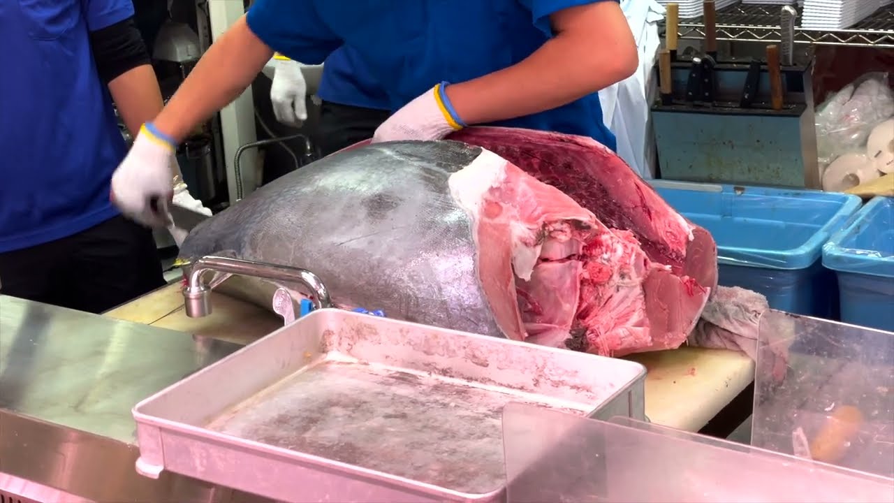 【買物】大起水産 街のみなと 京都伏見店 生本まぐろ解体ショー