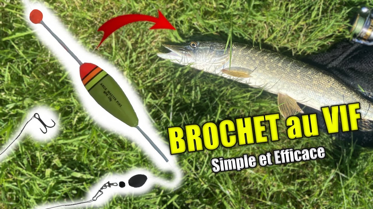 TUTO Pêcher le BROCHET au VIF au Bouchon (Simple et Efficace)