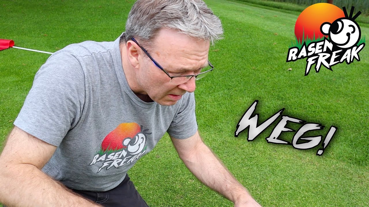 Wie schnell verschwindet SAND im RASEN? Der RASENFREAK sandet sein neues GRÜN.