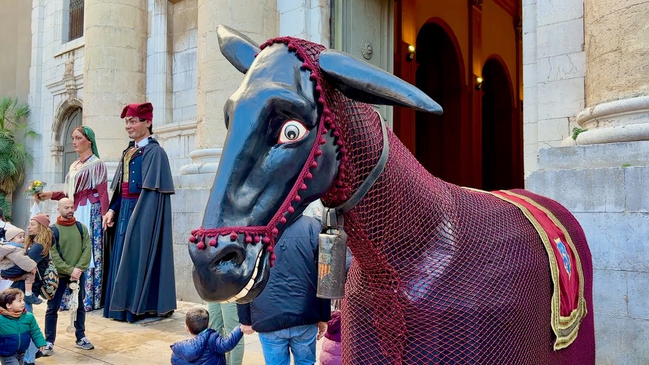 INICI CERCAVILA de BALLS i ENTREMESOS en honor SANT ANTONI Vilanova i la Geltrú 2025 - Episodi nº 1