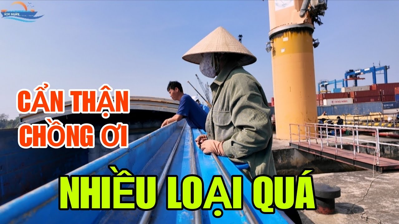 Lần Đầu Nhận Ở Tân Cảng Hiệp Phước Ở Sài Gòn, Cuối Năm Không Khí Thật Rộn Ràng