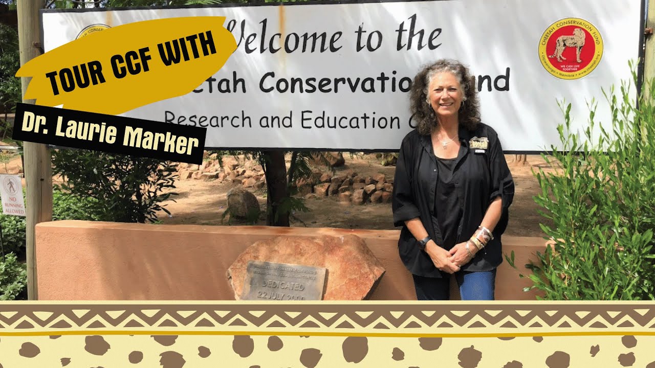 Dr. Laurie Marker's Special Tour of CCF's Headquarters