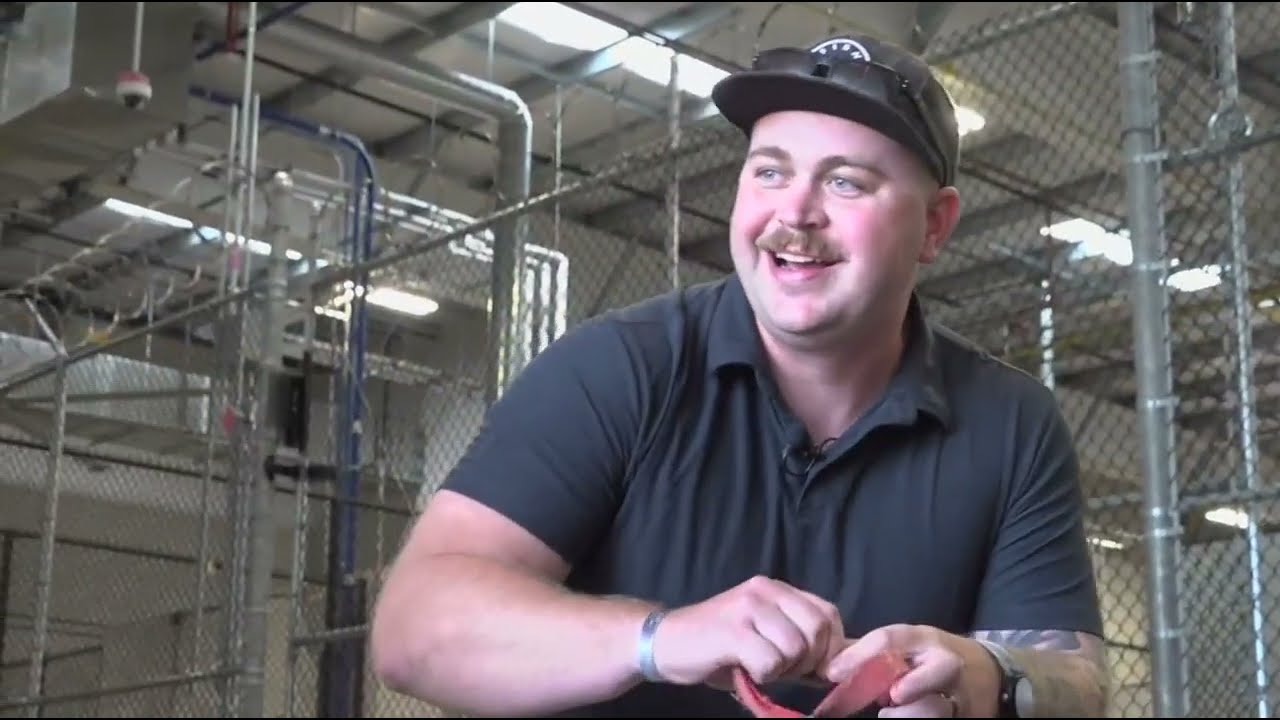 Paws of War: Romeo - San Diego Marine welcomes home puppy rescued overseas - CBS8 News