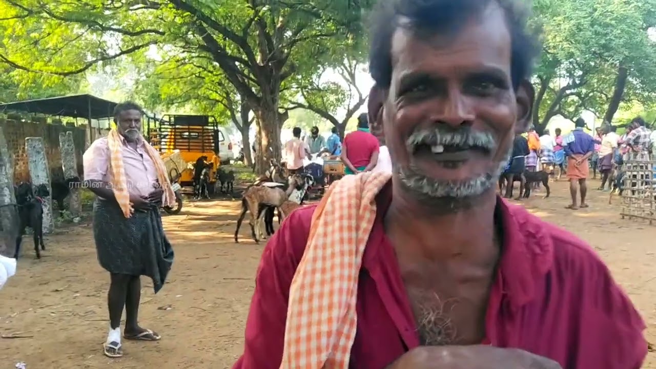கடையம் சந்தை | கடையம் ஆட்டு சந்தை | கடையம் மாட்டு சந்தை 