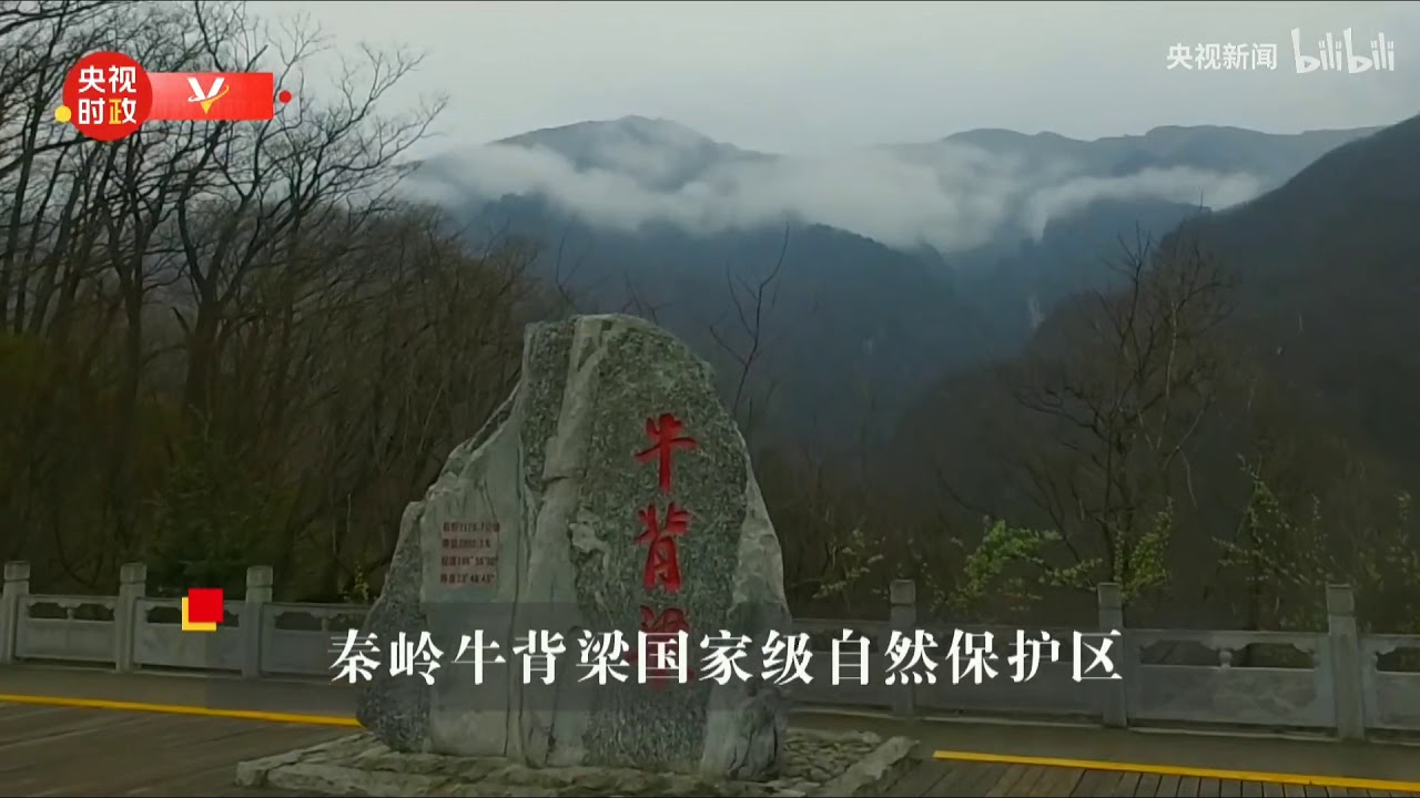 习总书记在陕西考察秦岭生态保护情况