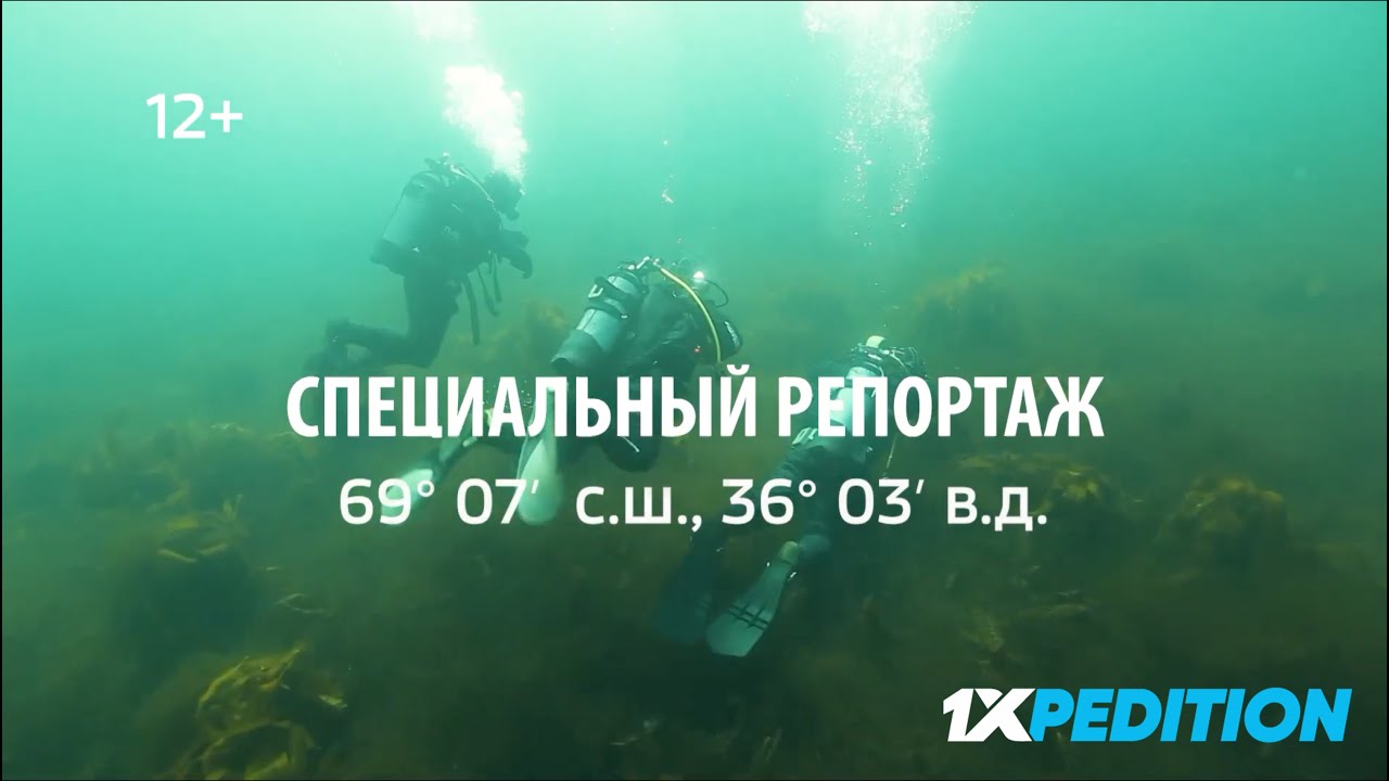 Дальние Зеленцы. Специальный репортаж.